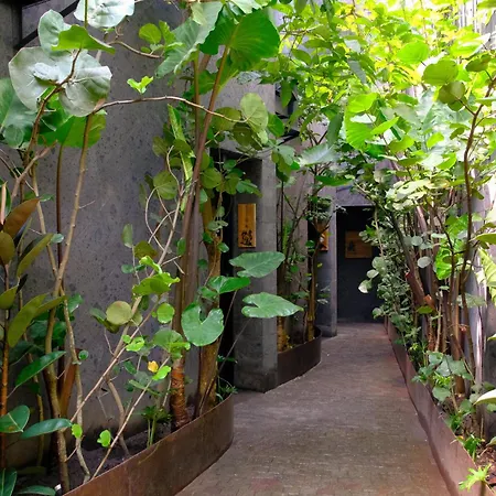 Beach Side Boutique Hotel With Private Rooftop Jacuzzi By Lima Bali